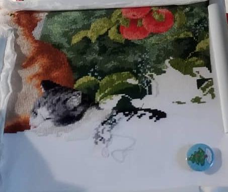 Изображение к отзыву @arrakurt