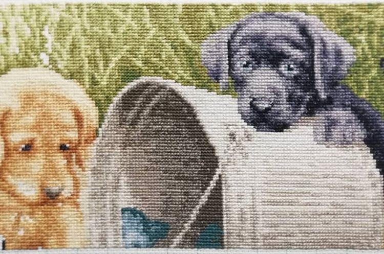 Изображение к отзыву Ирина №3