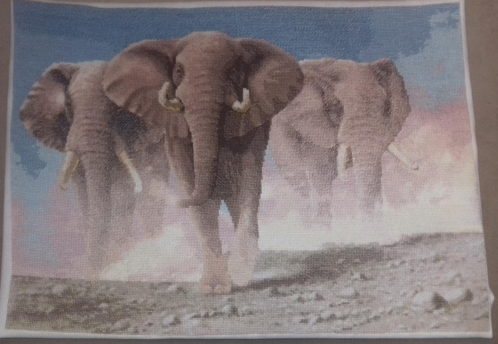 Изображение к отзыву Марина Жмаева